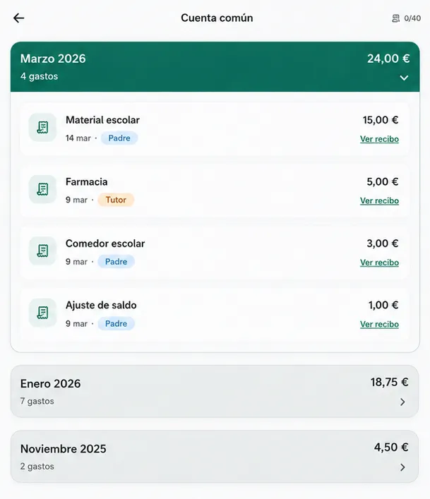 Cuenta común de gastos en OrgOra con importes, responsable y recibos por mes